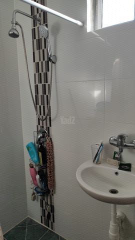 שקד 1