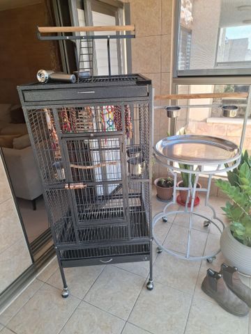 תמונת מודעה - חיות מחמד