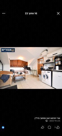 ראול ולנברג 41