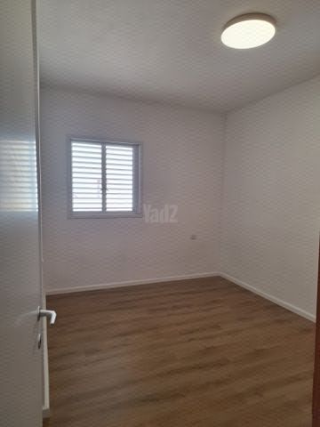 שלמה המלך 15