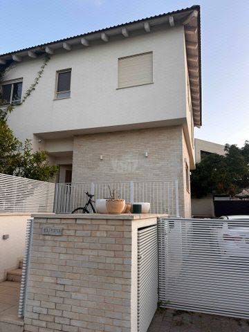 הנרקיס 13