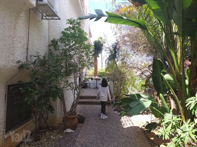 דו משפחתי להשכרה בתל אביב יפו — 4