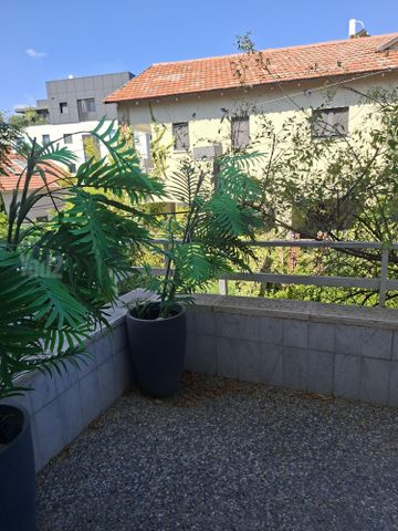 דו משפחתי להשכרה בתל אביב יפו — 5