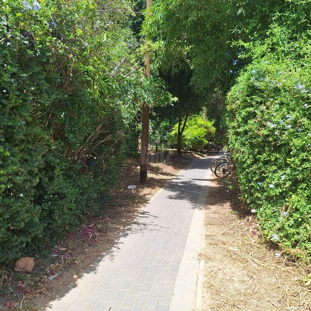 גג/ פנטהאוז