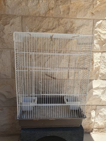 תמונת מודעה - חיות מחמד