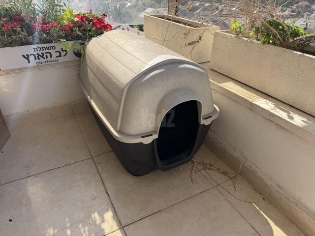 תמונת מודעה - חיות מחמד