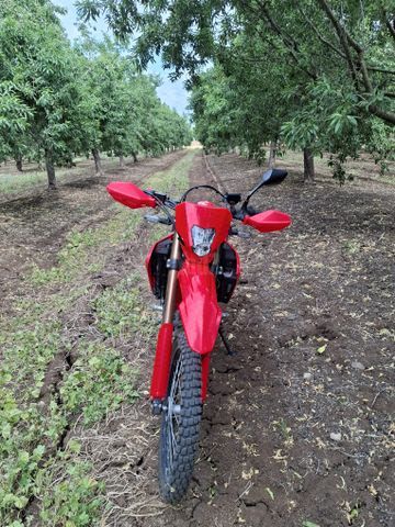 מודעת רכב הונדה CRF300L