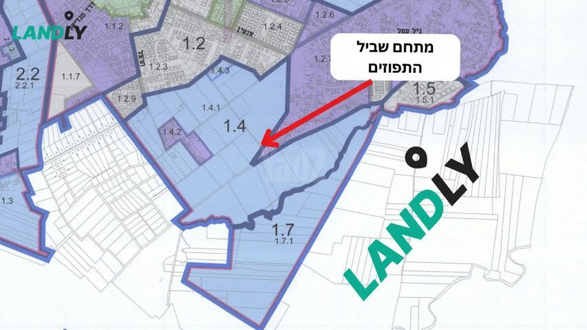 שביל התפוזים 1