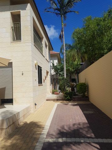 אחד העם 4