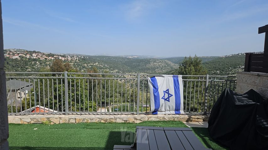 הברוש 24
