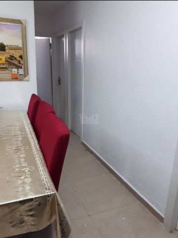 הרב נויפלד 29