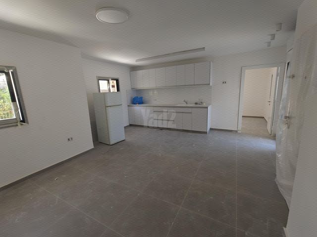 ברוש 33