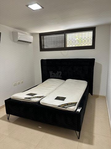חסידה 67