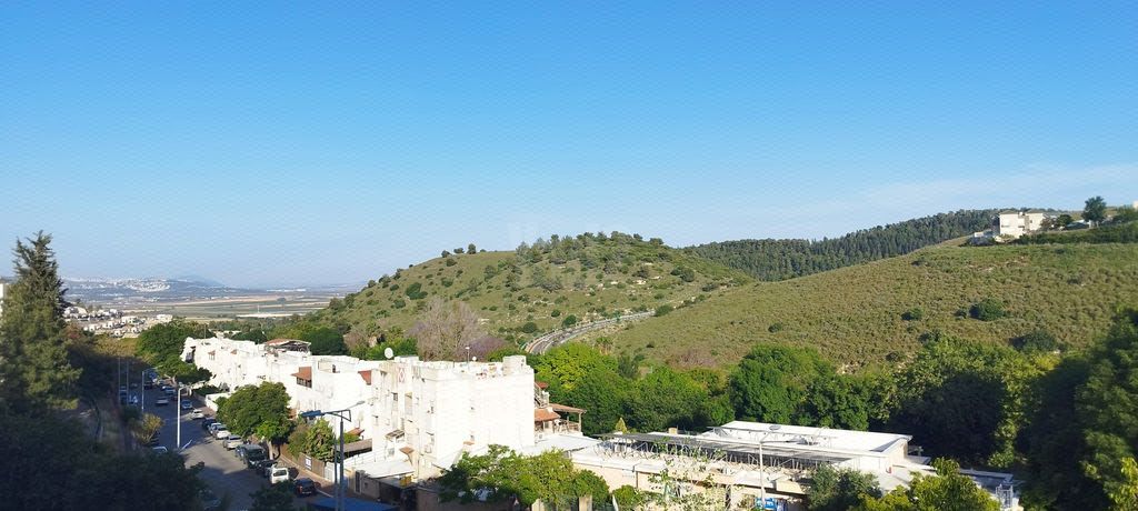 ההרדופים 14