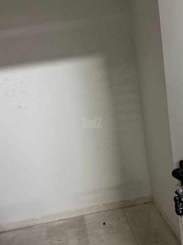 אלכסנדר פן 7