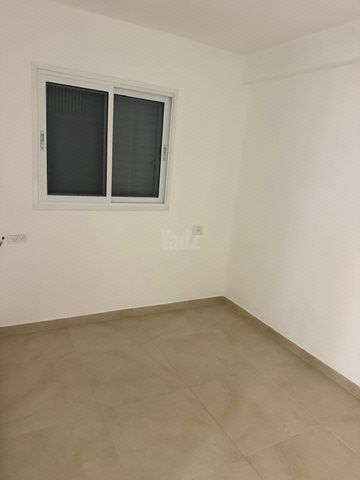 הרימון 50