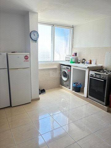 שכונת שז"ר 815