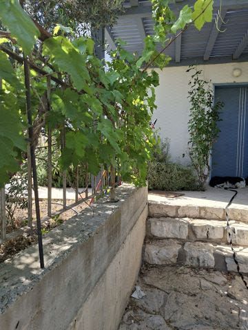 מעלה רש"י 1