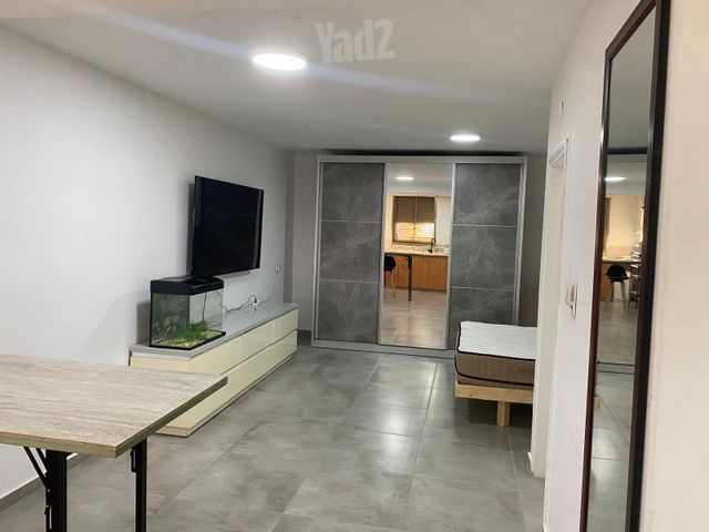 זית 44