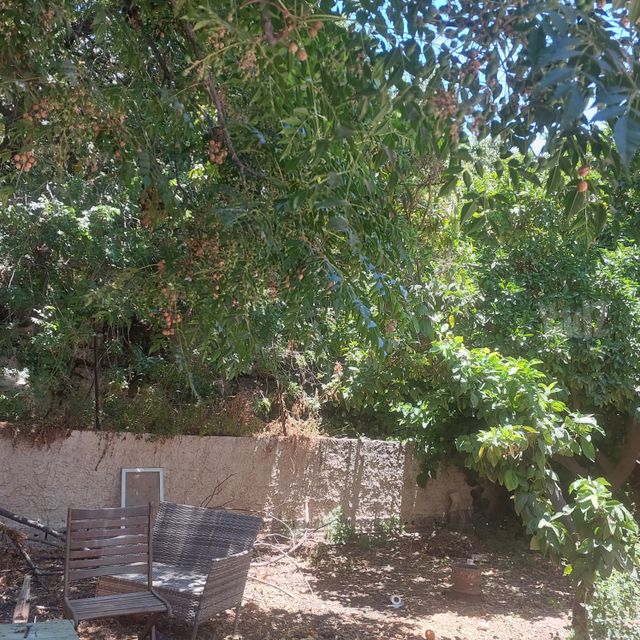 דירת גן להשכרה באבו גוש — 5
