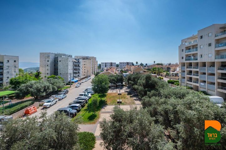 רמת צבי
