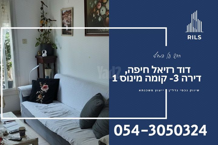 דוד רזיאל 