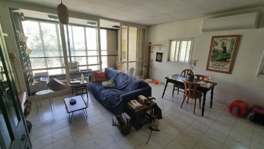 הרב קוק 