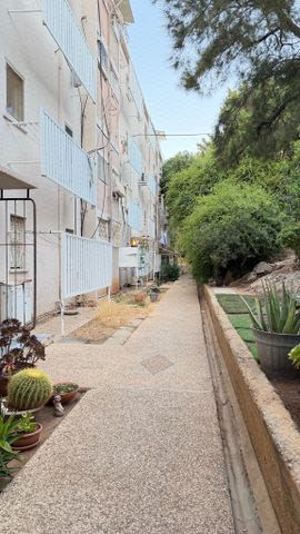 סעדיה גאון 