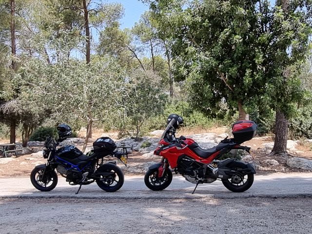 מודעת רכב דוקאטי מולטיסטרדה 1260 S