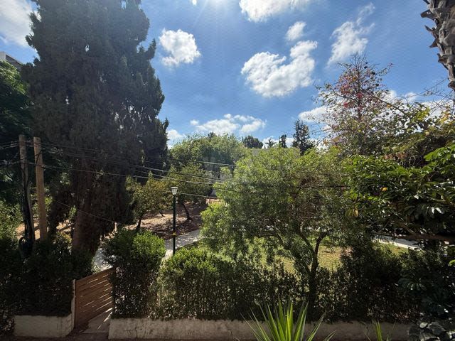 איינשטיין 14