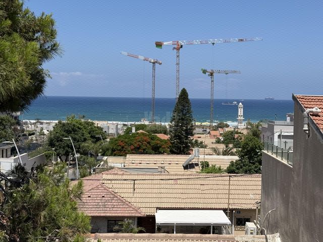 רוגוזין 42
