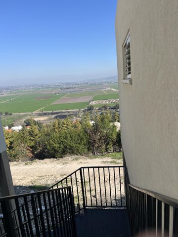 הנרקיסים 2