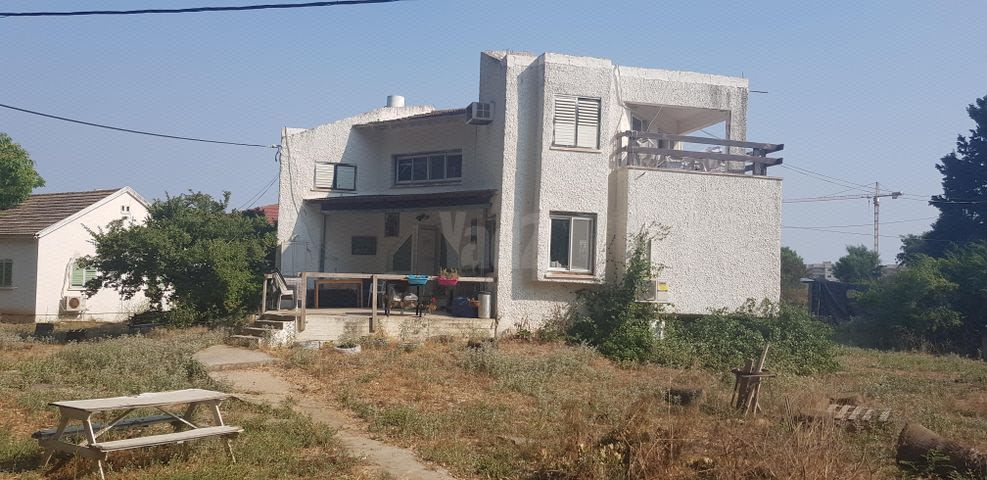 שדרות האקליפטוס 12