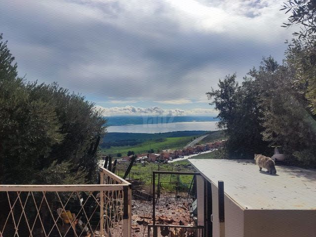 נוף הגולן 18