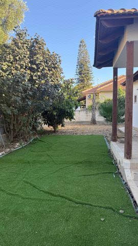 הרימון 515