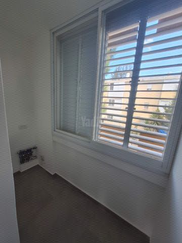 קיבוץ גלויות 11
