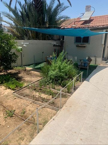 וינגייט 36