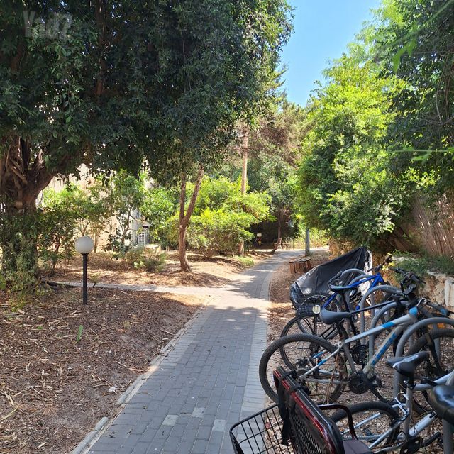 דירה להשכרה בתל אביב יפו — 4