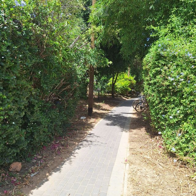 דירה להשכרה בתל אביב יפו — 3