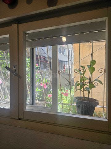 שיינקין 94