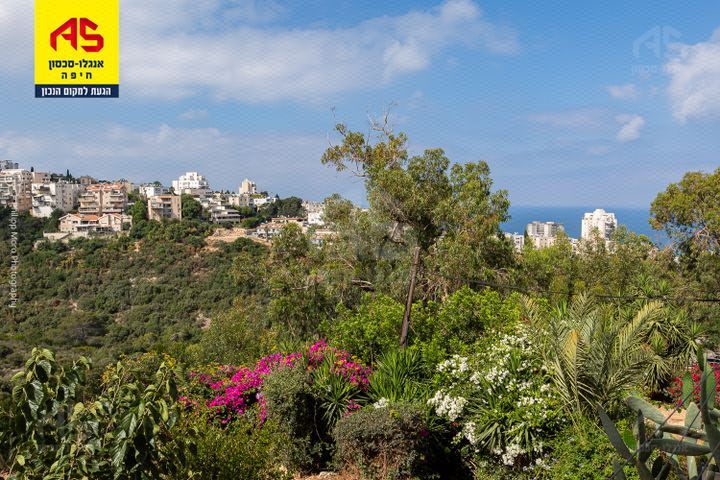 בית לחם 