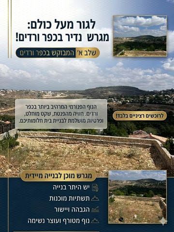 דישון 