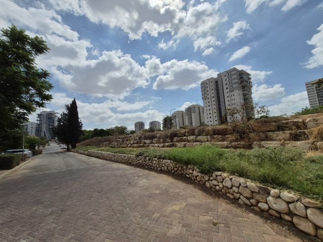 יגאל ידין 3