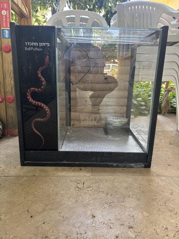 תמונת מודעה - חיות מחמד