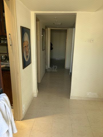 הגפן 1