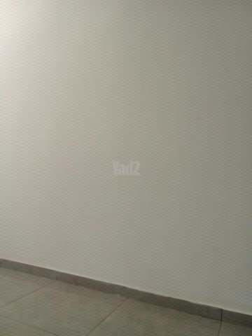 אריה 26