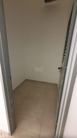 פרנקל 1