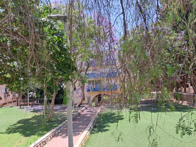 הנשיא 137
