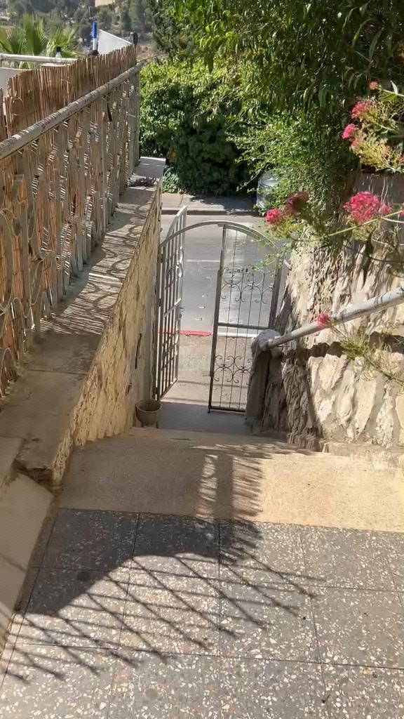 שמריהו לוין 27