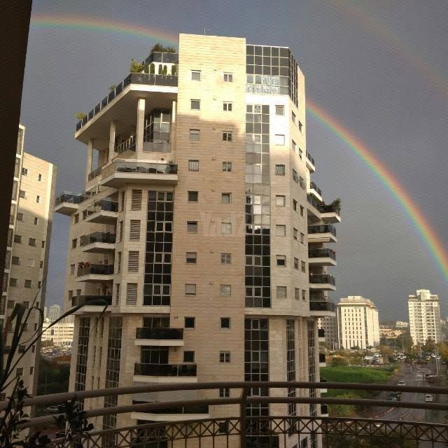 הזיתים 84